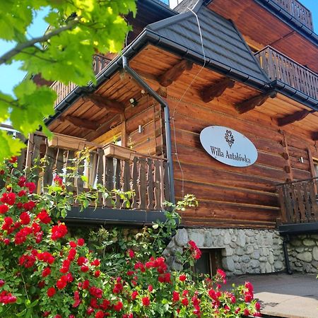 Willa Antalowka Zakopane Exterior foto