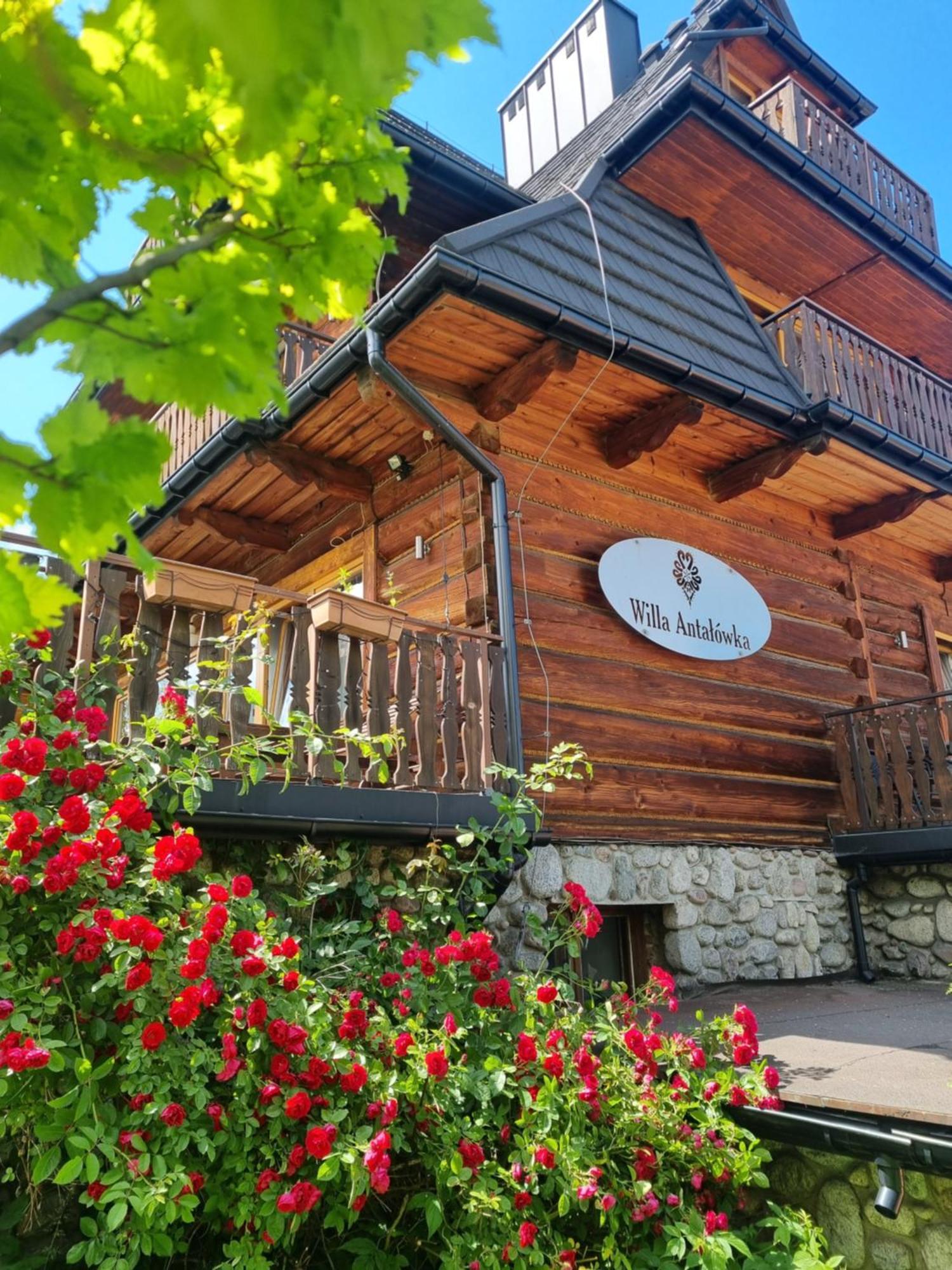 Willa Antalowka Zakopane Exterior foto
